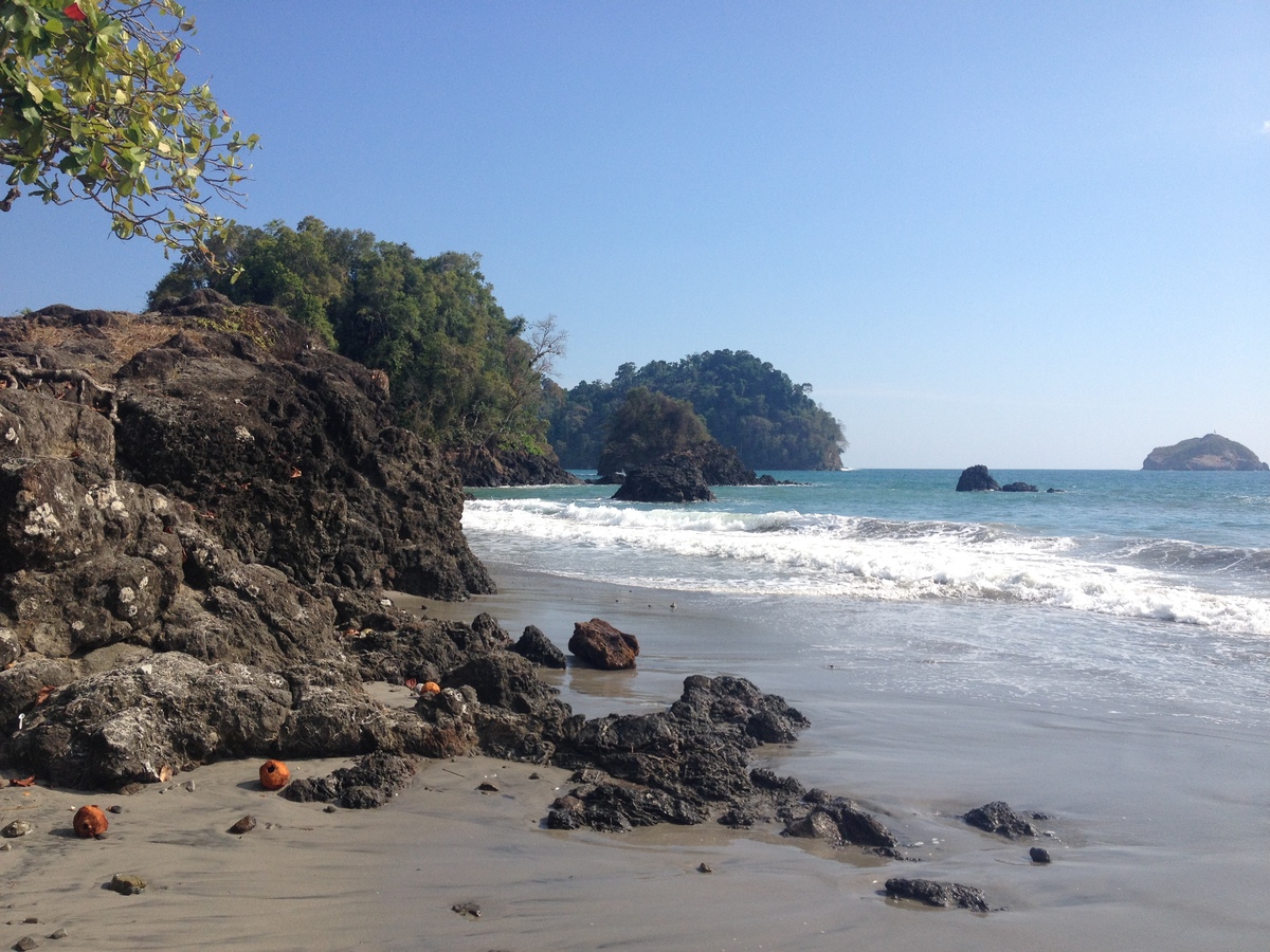 Picture Costa Rica Manuel Antonio 2015-03 393 - Rain Season Manuel Antonio