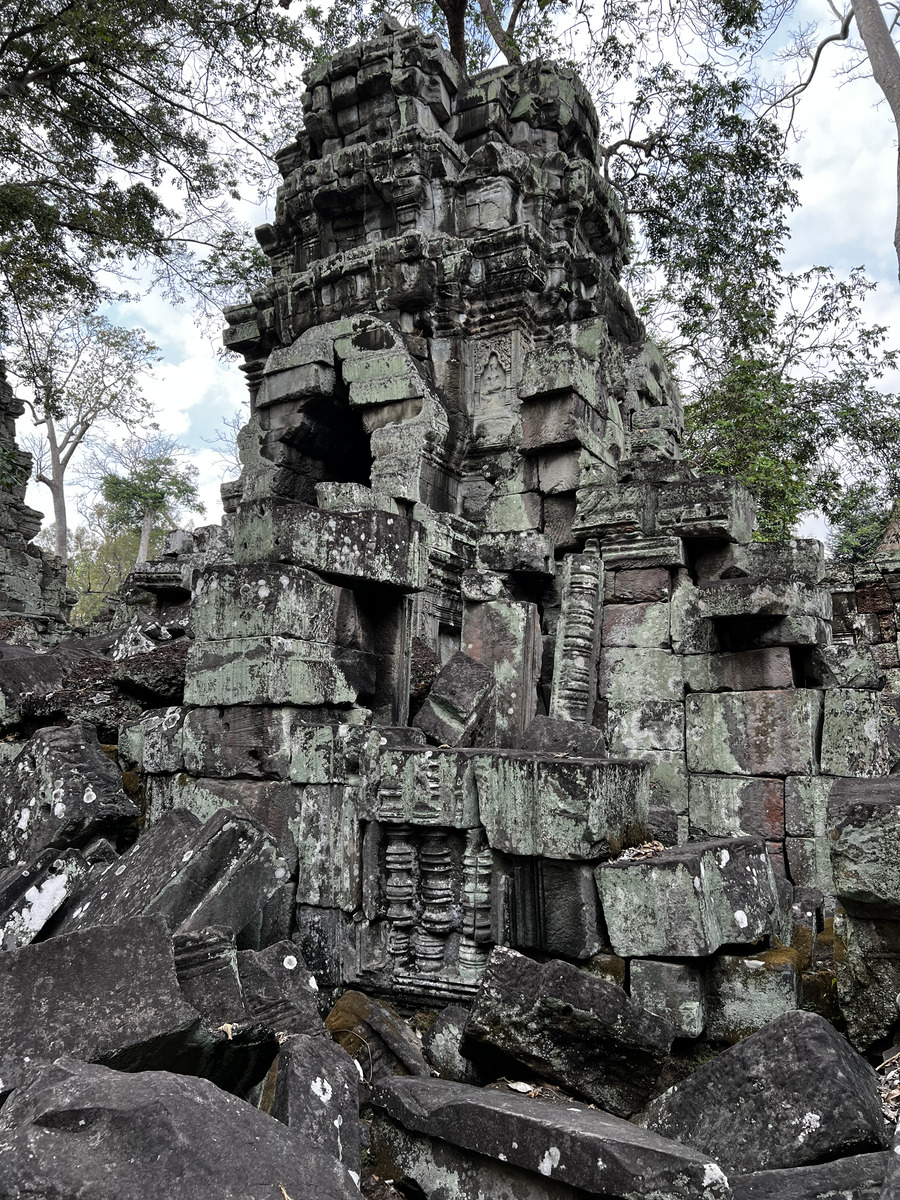 Picture Cambodia Siem Reap Ta Prohm 2023-01 63 - Night Ta Prohm