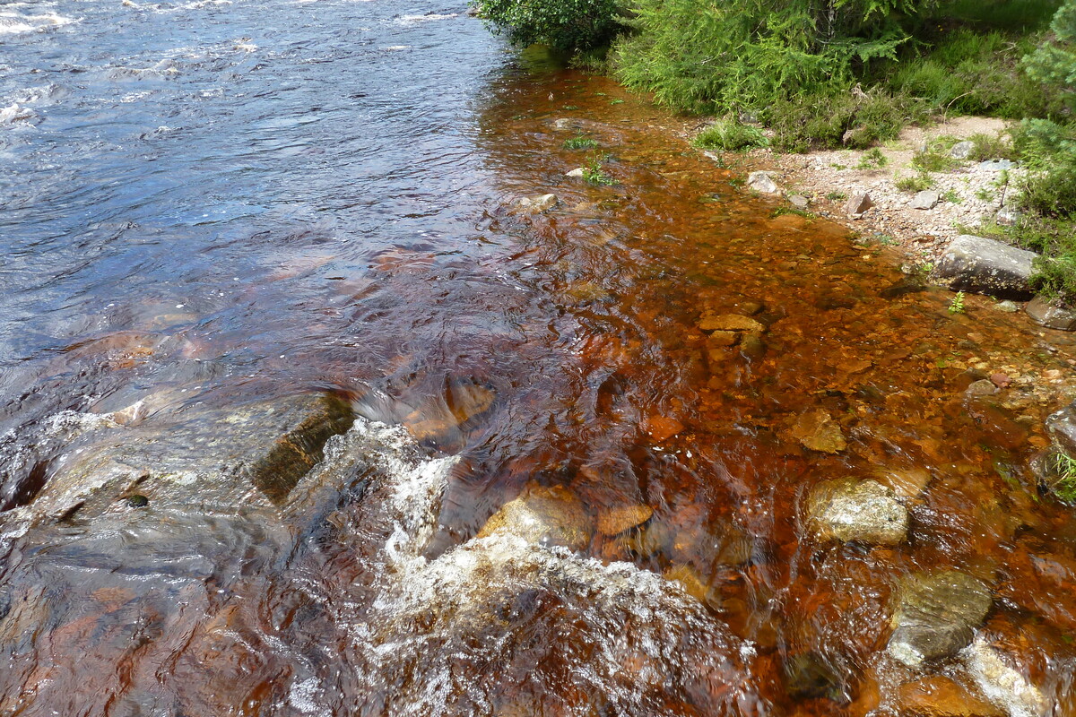 Picture United Kingdom Scotland Cairngorms National Park Invercauld Bridge 2011-07 6 - Waterfall Invercauld Bridge