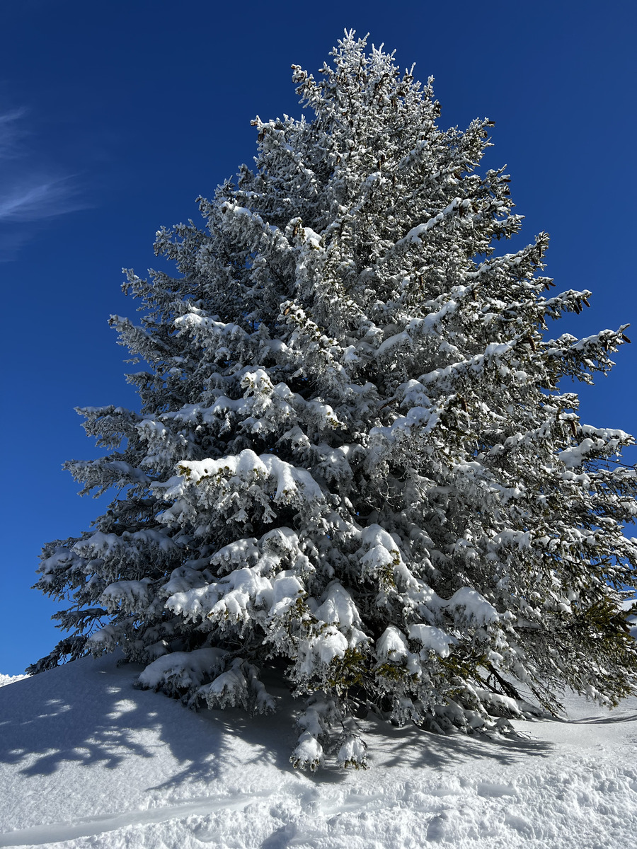 Picture France Megeve 2022-02 11 - Winter Megeve