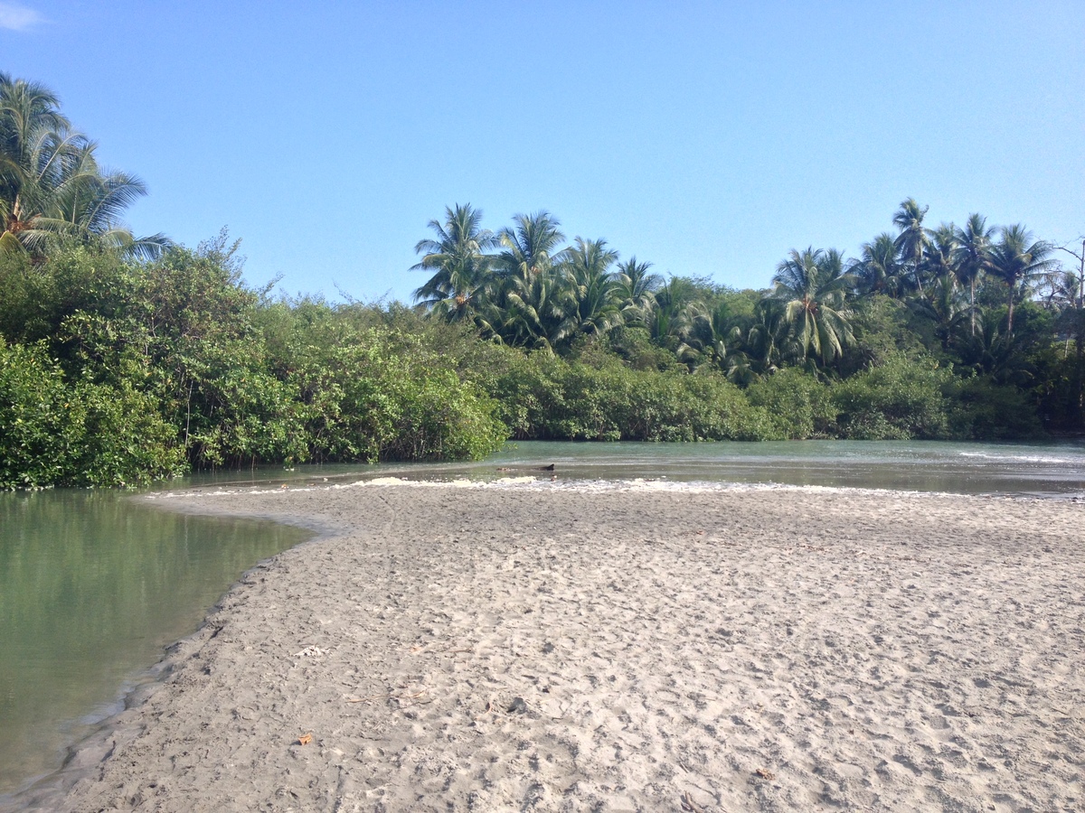 Picture Costa Rica Manuel Antonio 2015-03 287 - Monument Manuel Antonio