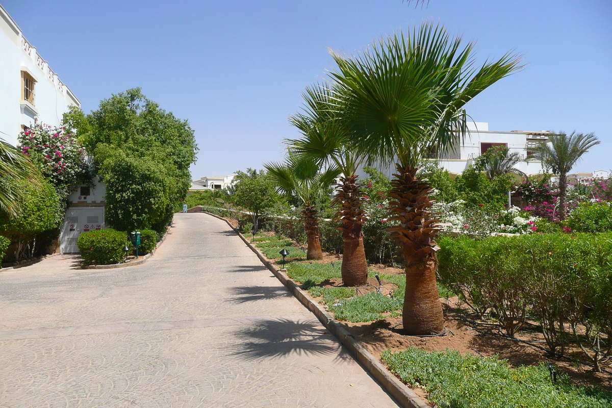 Picture Egypt Sharm el Sheikh Hyatt Hotel 2008-06 52 - Waterfalls Hyatt Hotel