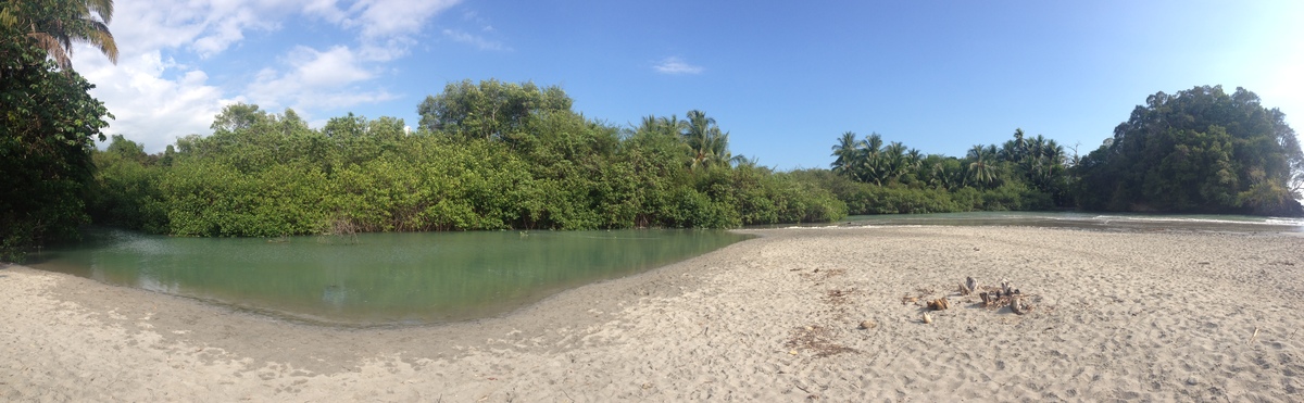 Picture Costa Rica Manuel Antonio 2015-03 350 - To see Manuel Antonio