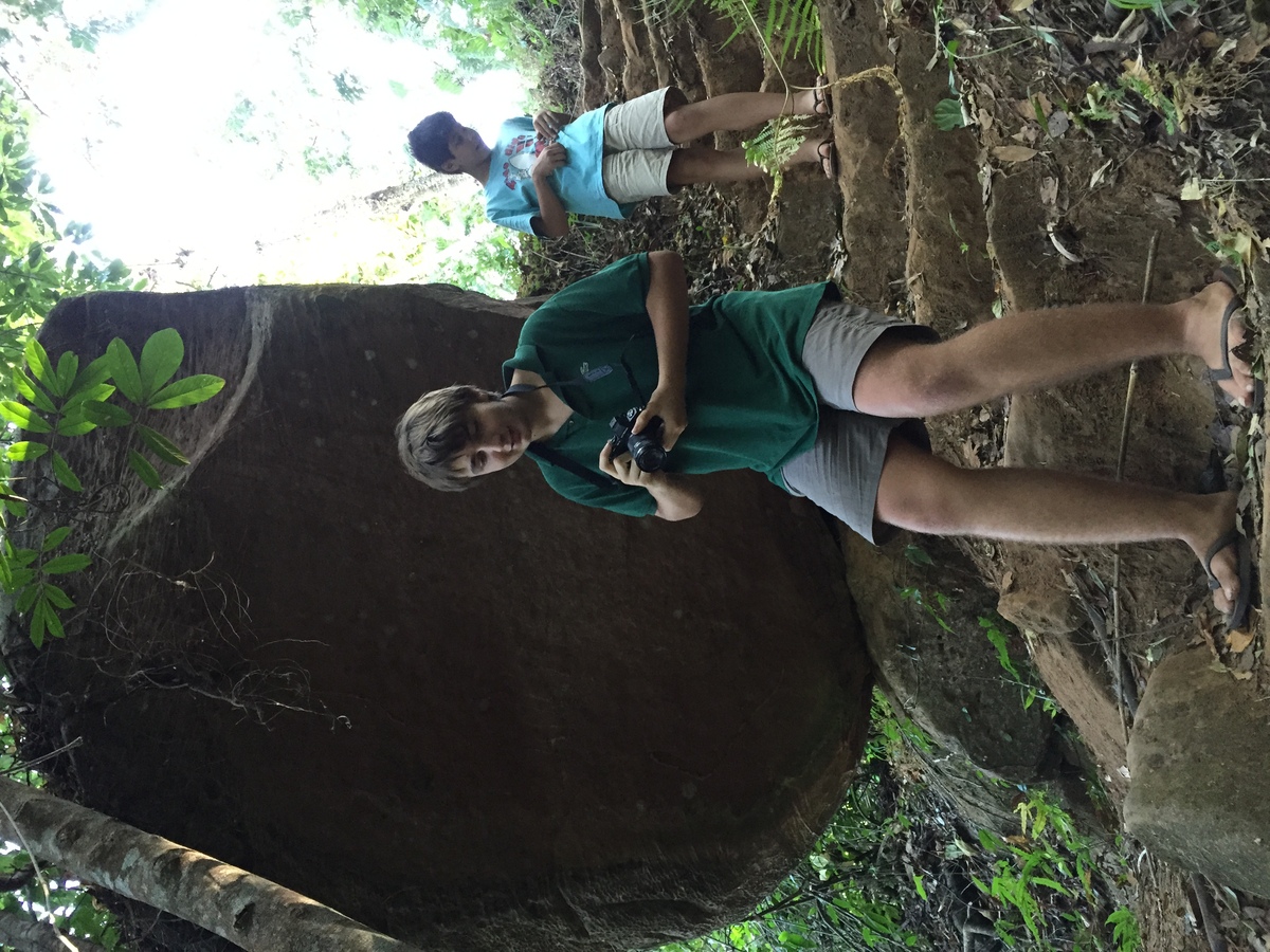 Picture Thailand Phu Hin Rong Kla National Park 2014-12 133 - Hot Season Phu Hin Rong Kla National Park