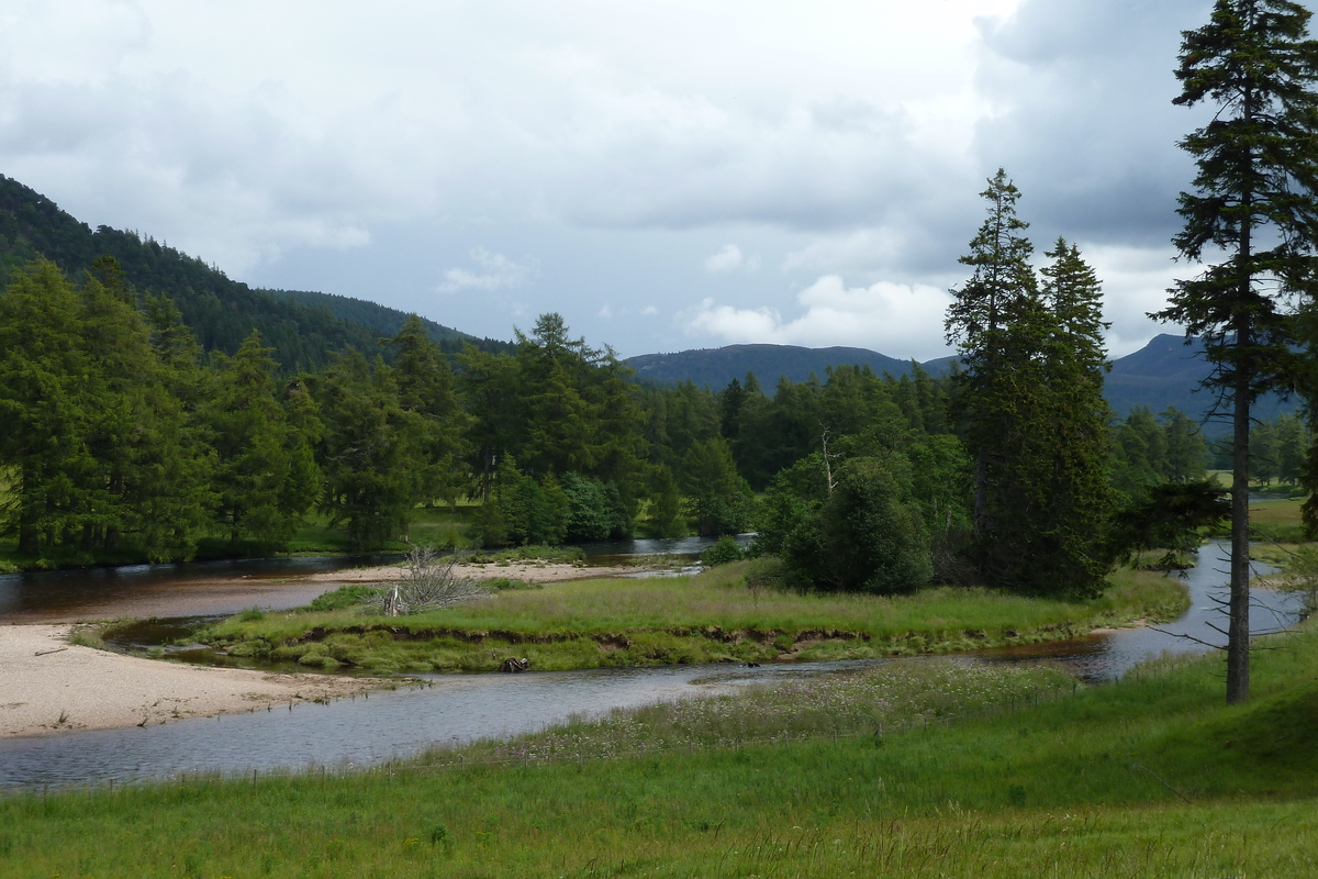 Picture United Kingdom Cairngorms National Park 2011-07 119 - Cost Cairngorms National Park