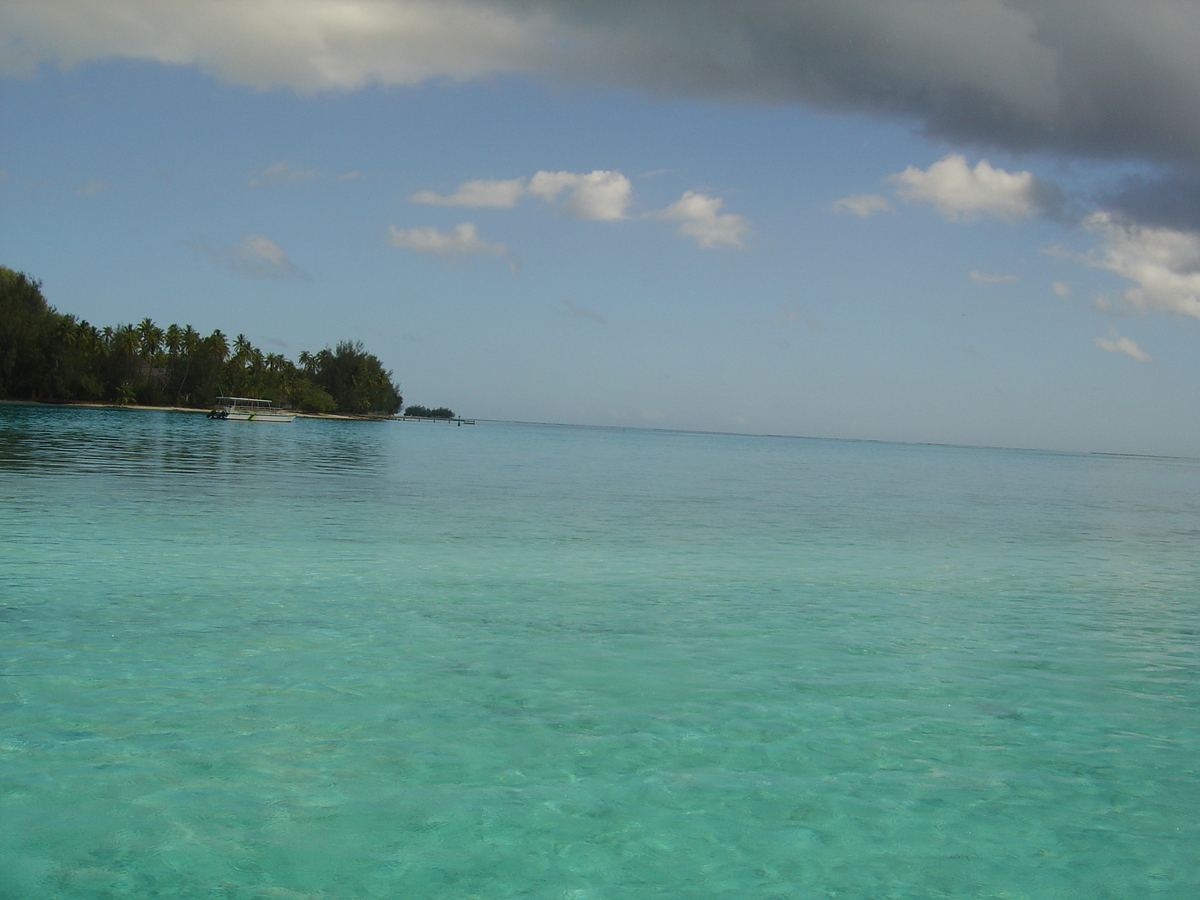 Picture Polynesia Moorea 2006-04 2 - Cost Moorea