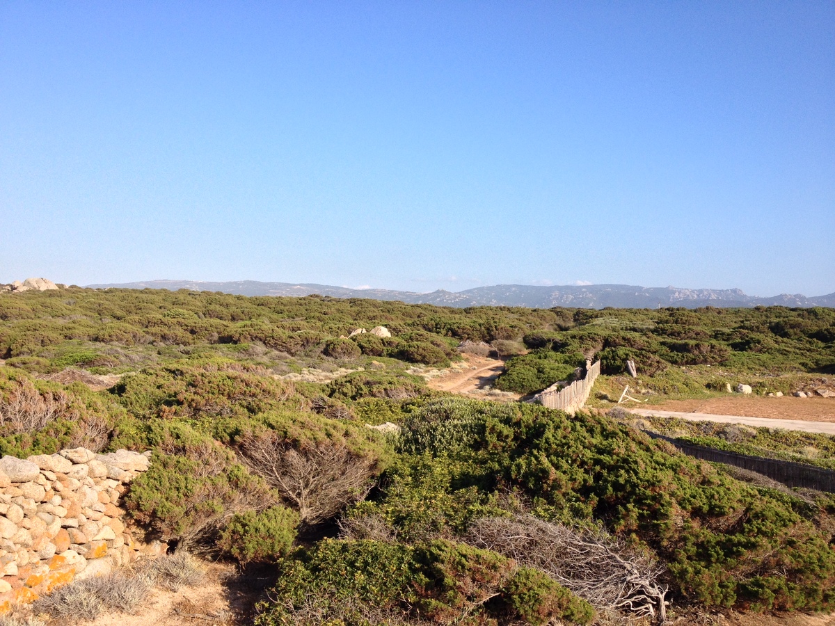 Picture Italy Sardinia Portobello di Gallura 2015-06 9 - Cheap Room Portobello di Gallura