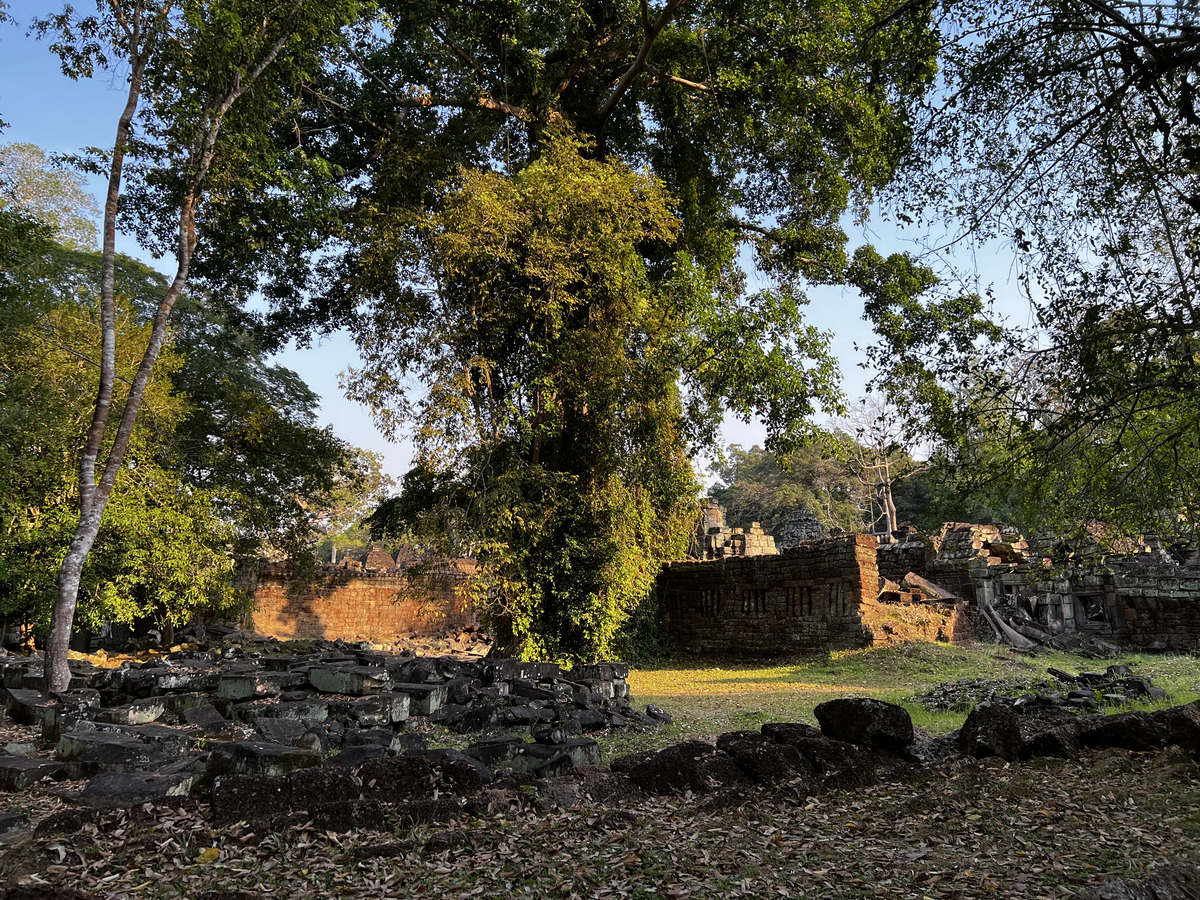 Picture Cambodia Siem Reap Preah Khan 2023-01 66 - Lands Preah Khan