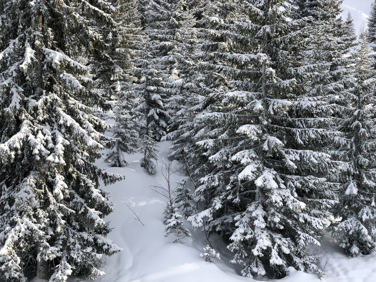 Picture France La Clusaz 2017-12 289 - Cost La Clusaz