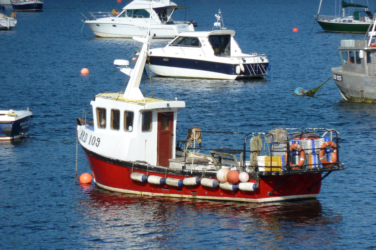 Picture United Kingdom Skye Portree 2011-07 32 - Rental Portree