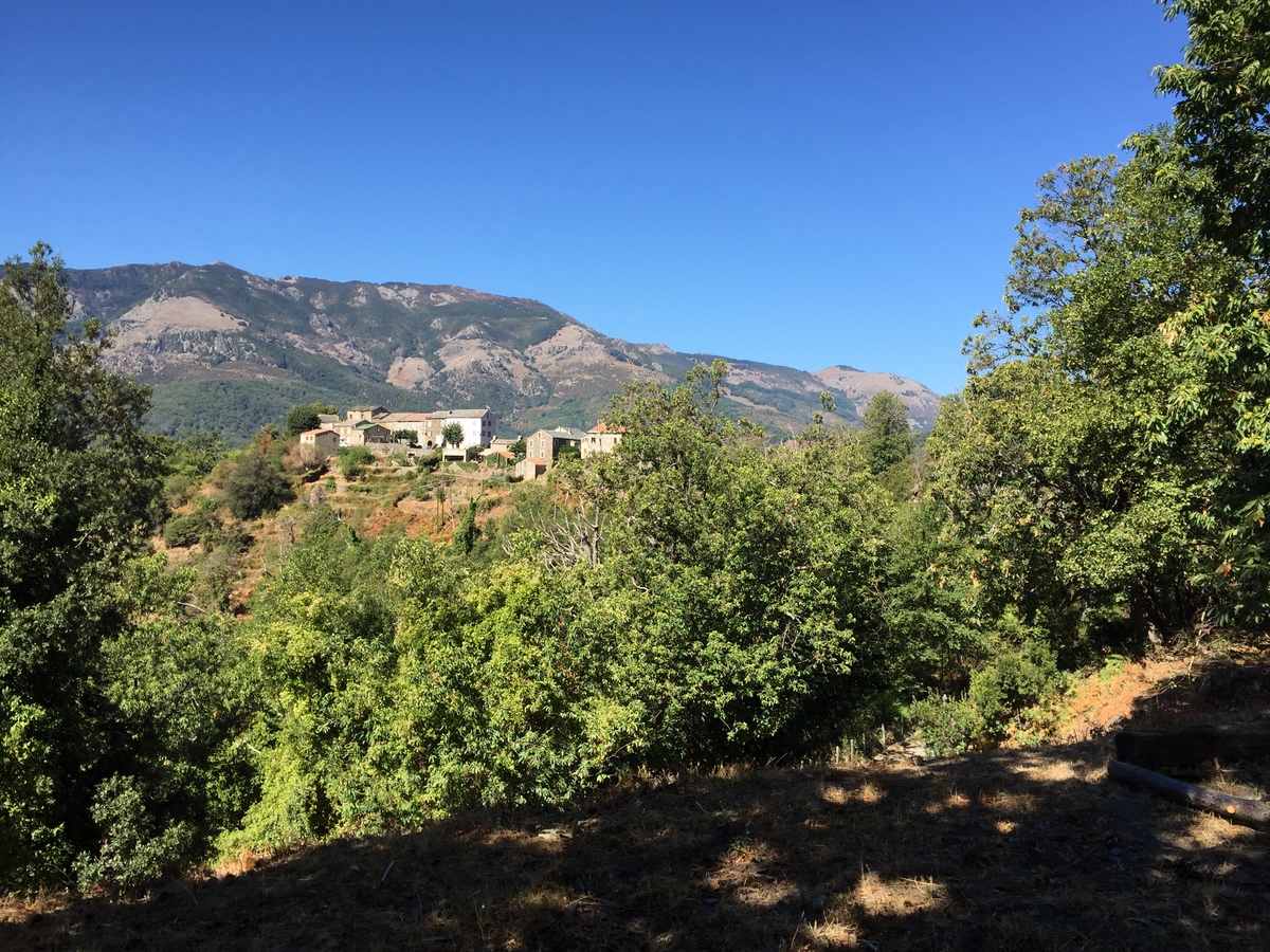 Picture France Corsica Felce 2017-09 6 - Walking Street Felce