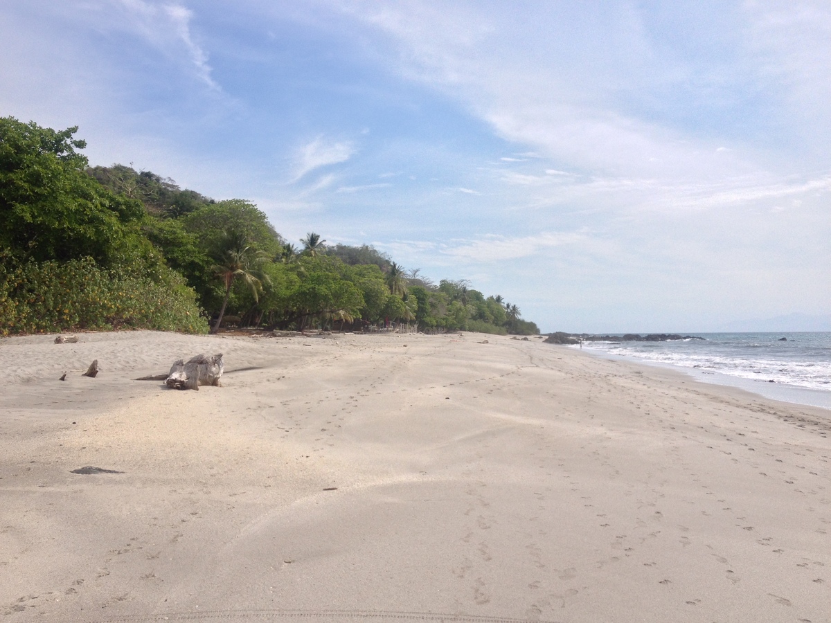 Picture Costa Rica Montezuma 2015-03 109 - Monuments Montezuma