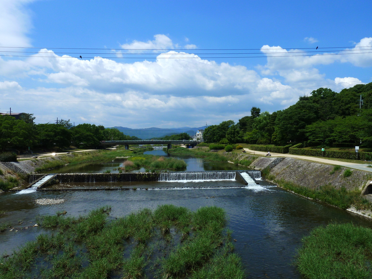 Picture Japan Kyoto Kamo River 2010-06 2 - Hotels Kamo River