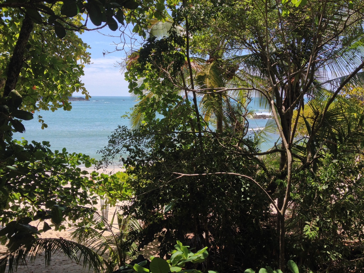 Picture Costa Rica Manuel Antonio 2015-03 311 - Waterfall Manuel Antonio