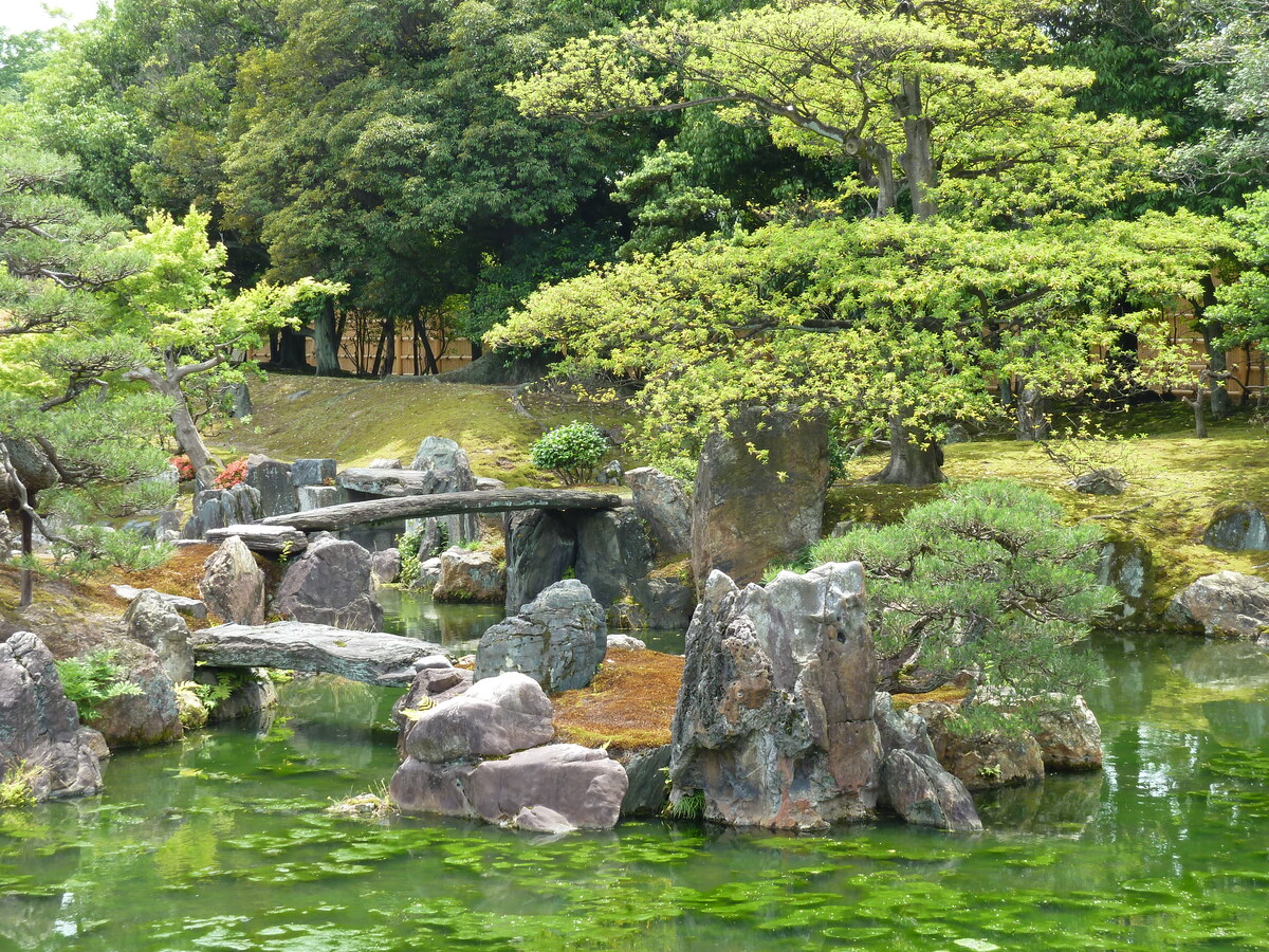 Picture Japan Kyoto Nijo Castle Ninomaru Garden 2010-06 12 - Savings Ninomaru Garden