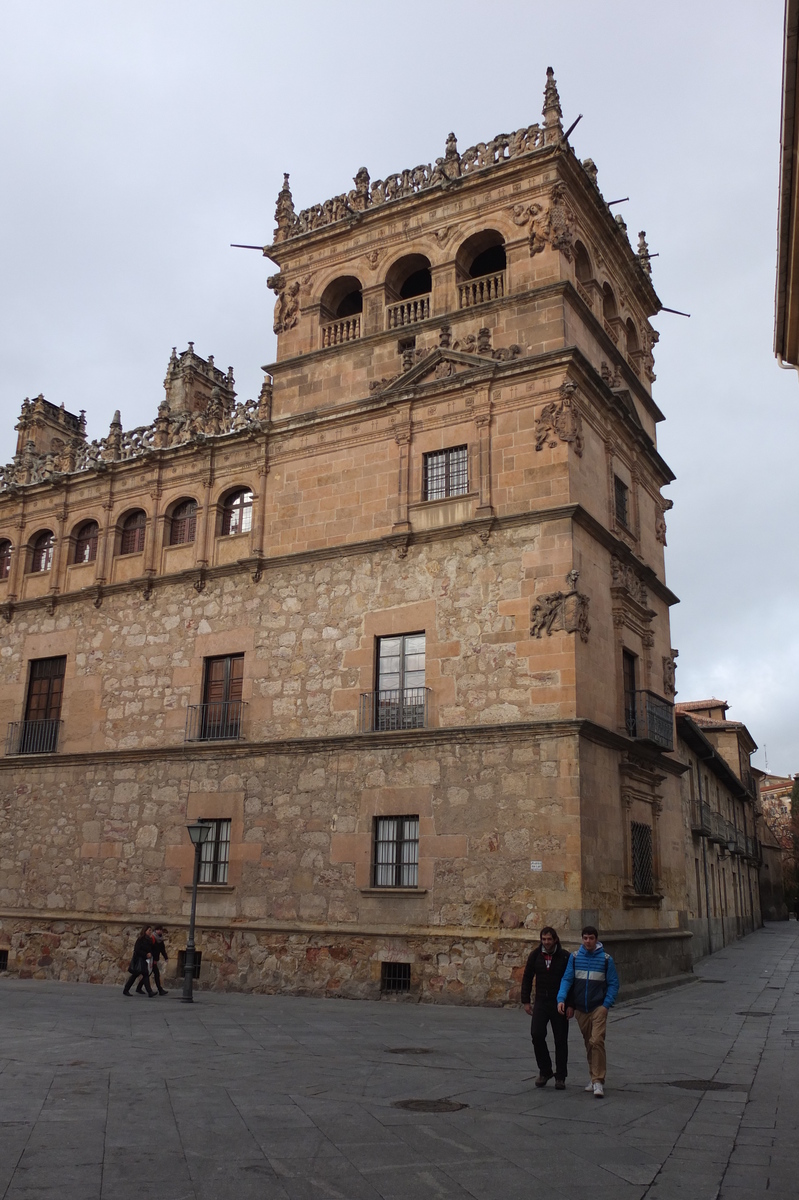 Picture Spain Salamanca 2013-01 143 - Saving Salamanca