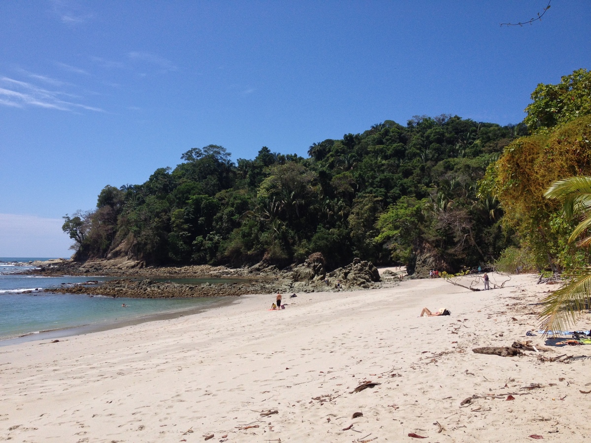 Picture Costa Rica Manuel Antonio 2015-03 163 - Summer Manuel Antonio