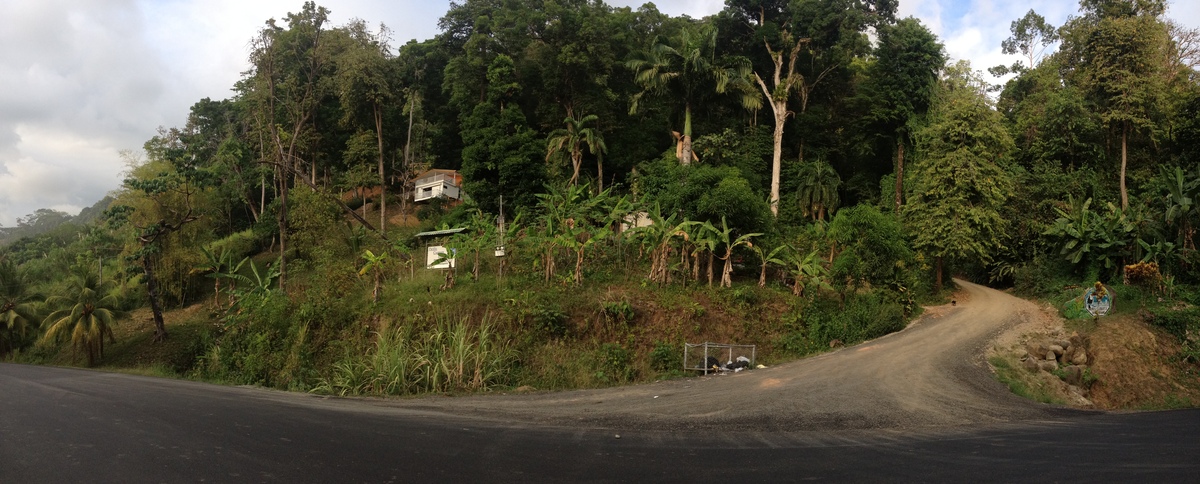 Picture Costa Rica Dominical 2015-03 16 - Monuments Dominical