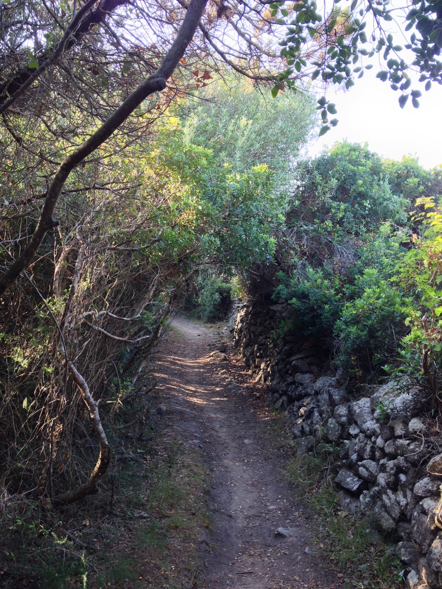 Picture Italy Sardinia Portobello di Gallura 2015-06 14 - Waterfalls Portobello di Gallura