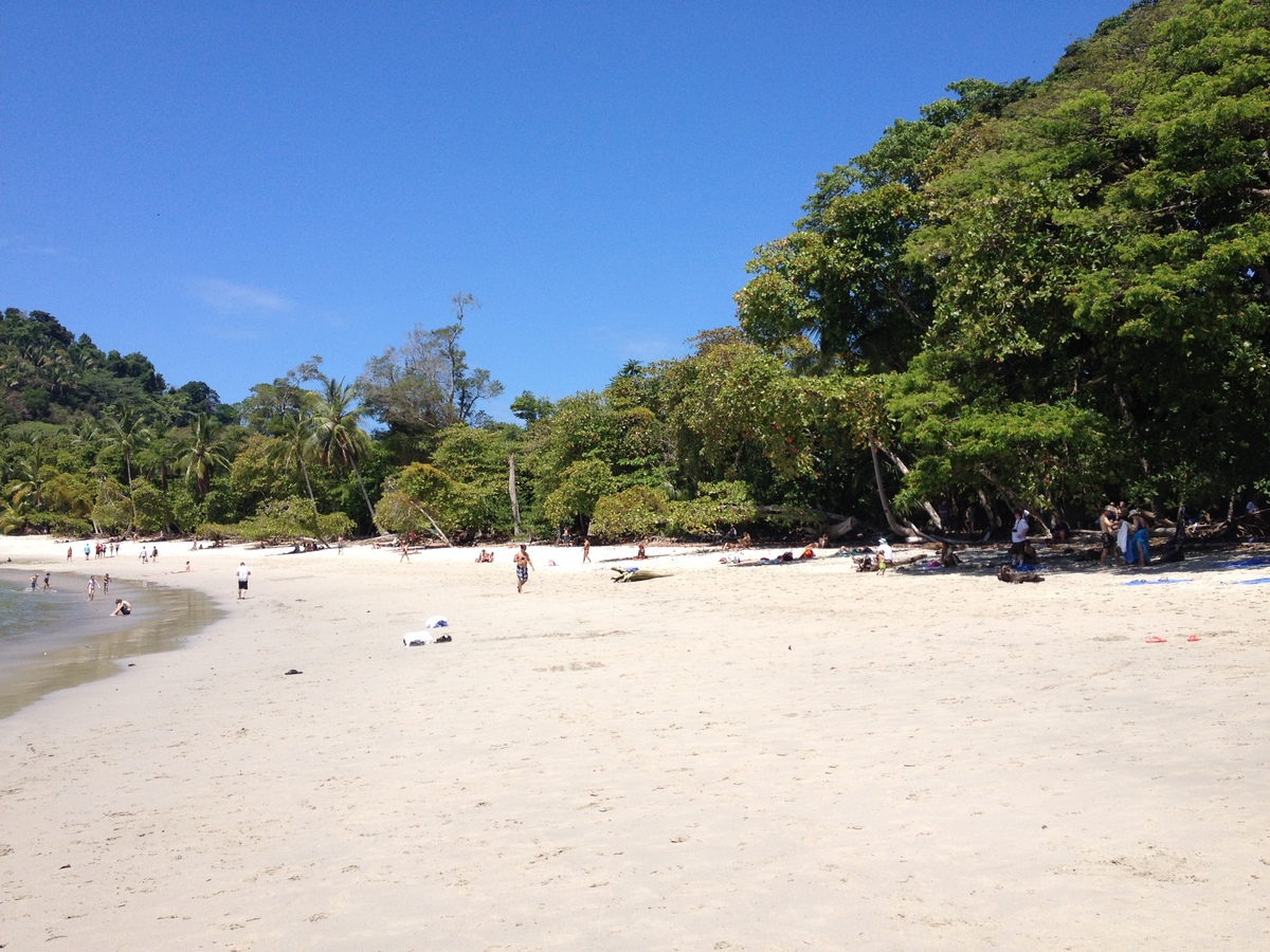 Picture Costa Rica Manuel Antonio 2015-03 265 - Spring Manuel Antonio