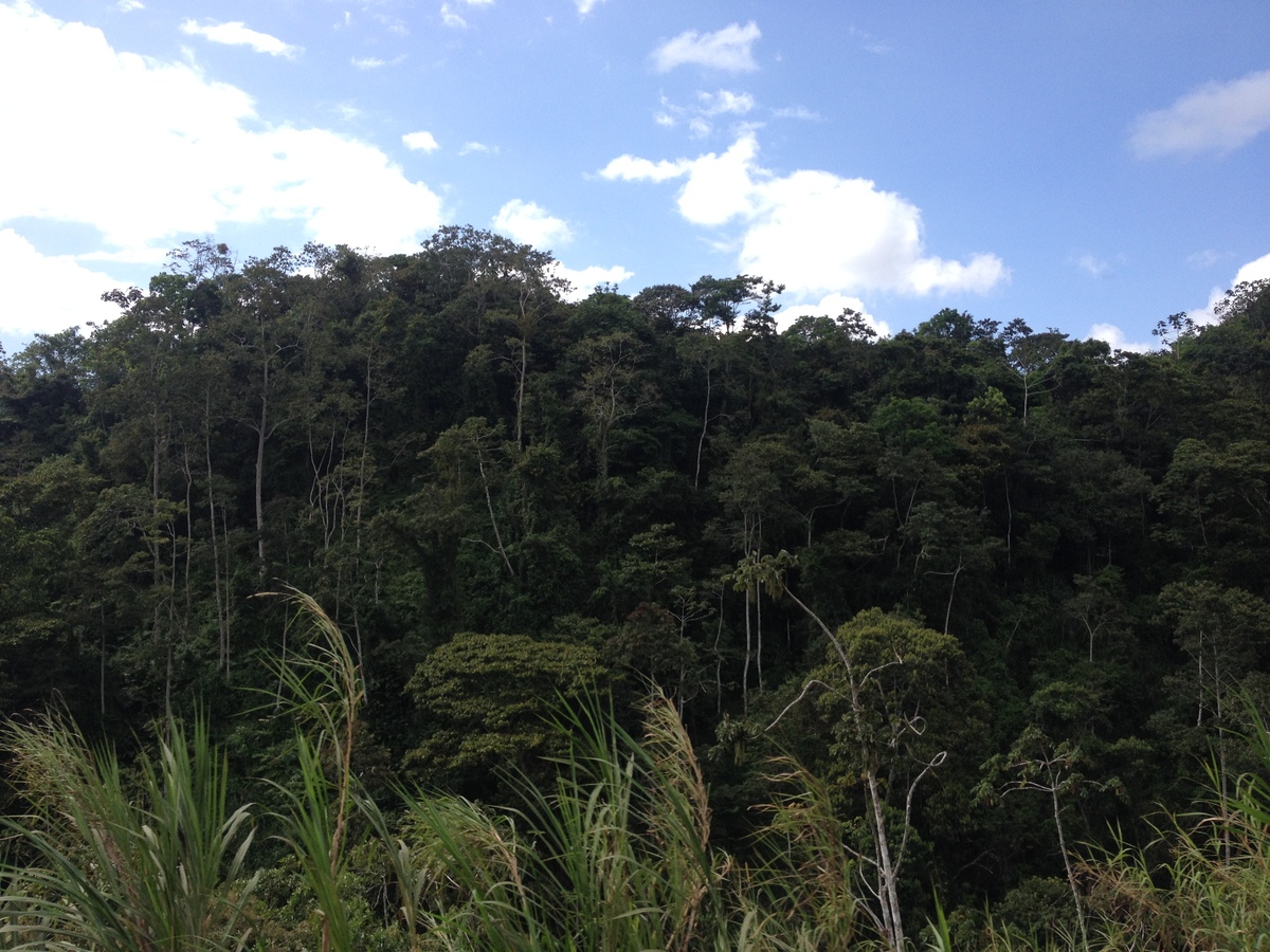 Picture Costa Rica Turrialba 2015-03 25 - Weather Turrialba