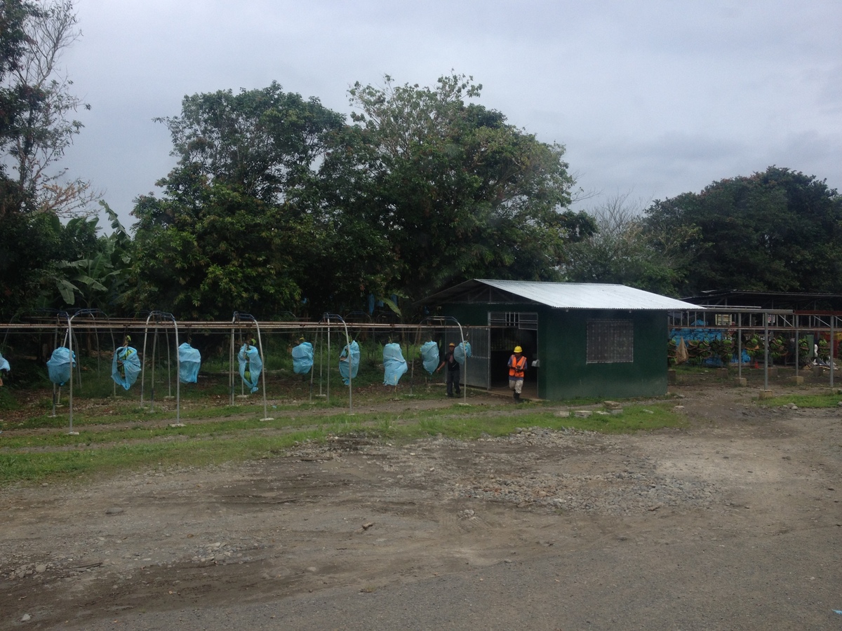 Picture Costa Rica Caraibean Border 2015-03 14 - Transport Caraibean Border