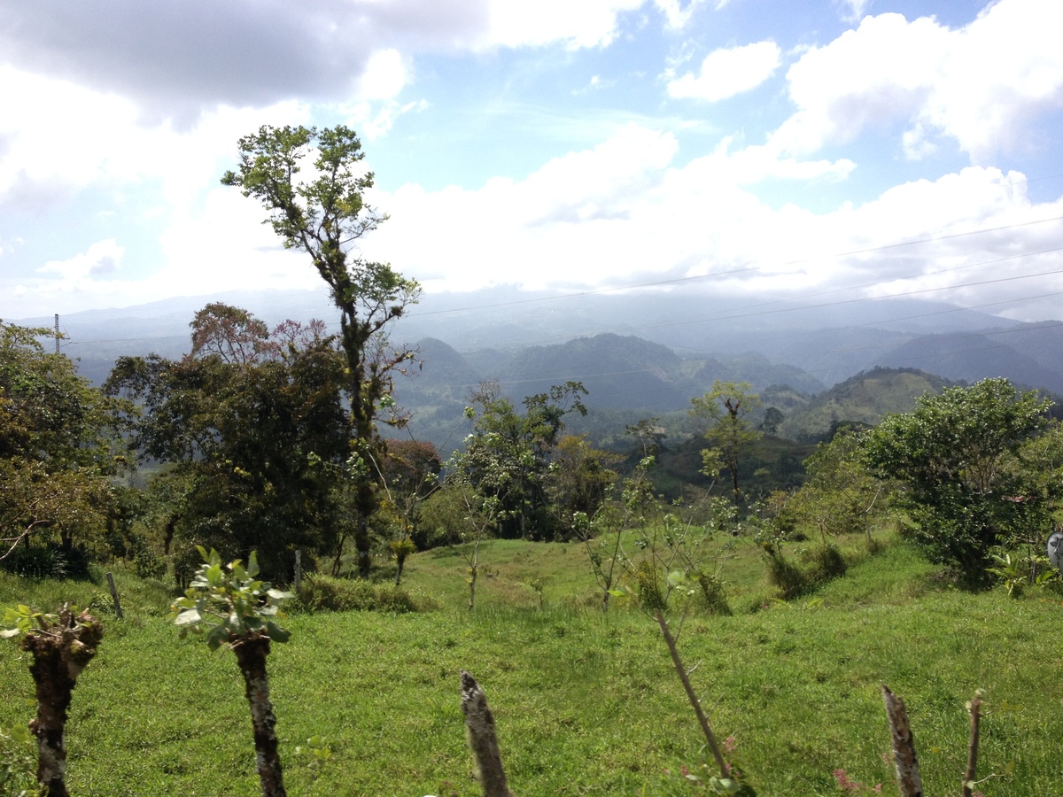 Picture Costa Rica Turrialba 2015-03 26 - Night Turrialba