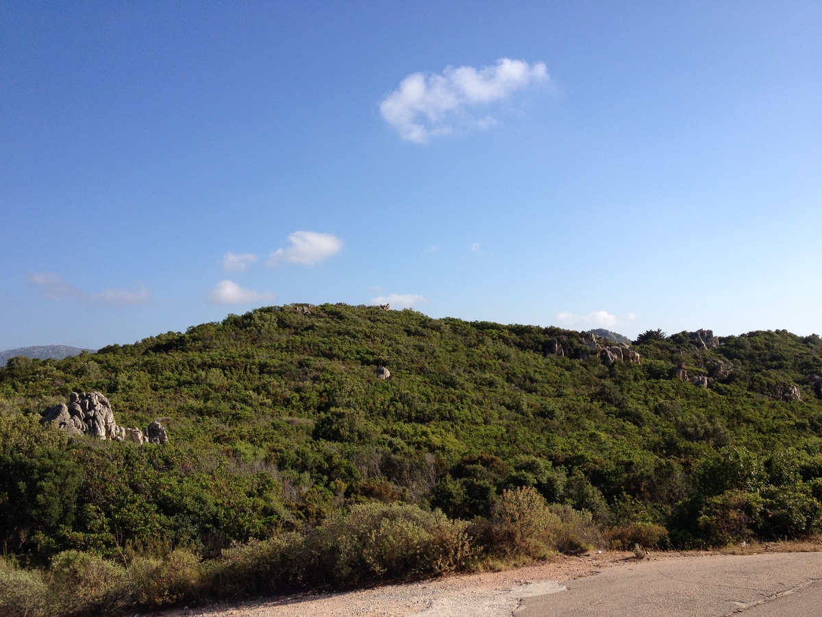 Picture Italy Sardinia Costa Paradiso 2015-06 11 - Lands Costa Paradiso