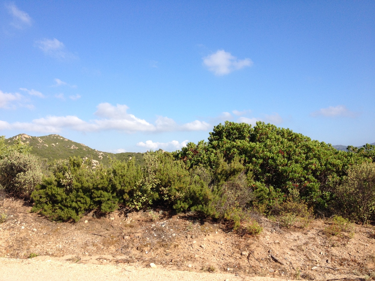 Picture Italy Sardinia Costa Paradiso 2015-06 6 - Monument Costa Paradiso