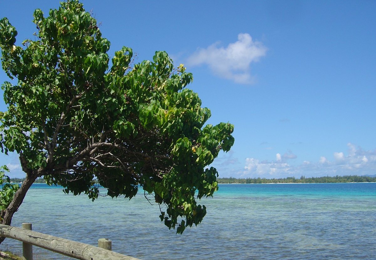 Picture Polynesia Bora Bora 2006-04 57 - Hot Season Bora Bora