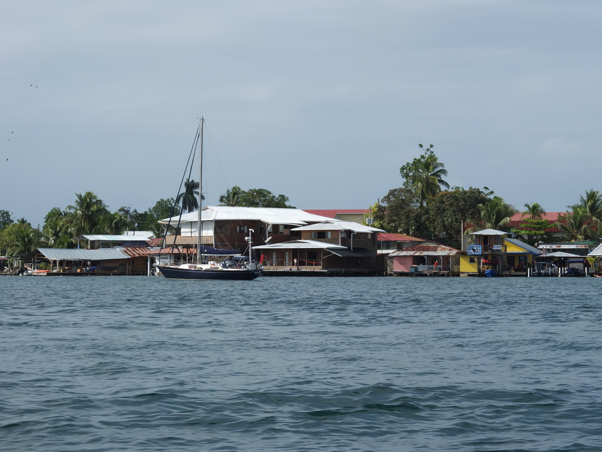 Picture Panama Bocas del toro 2015-03 44 - Walking Street Bocas del toro