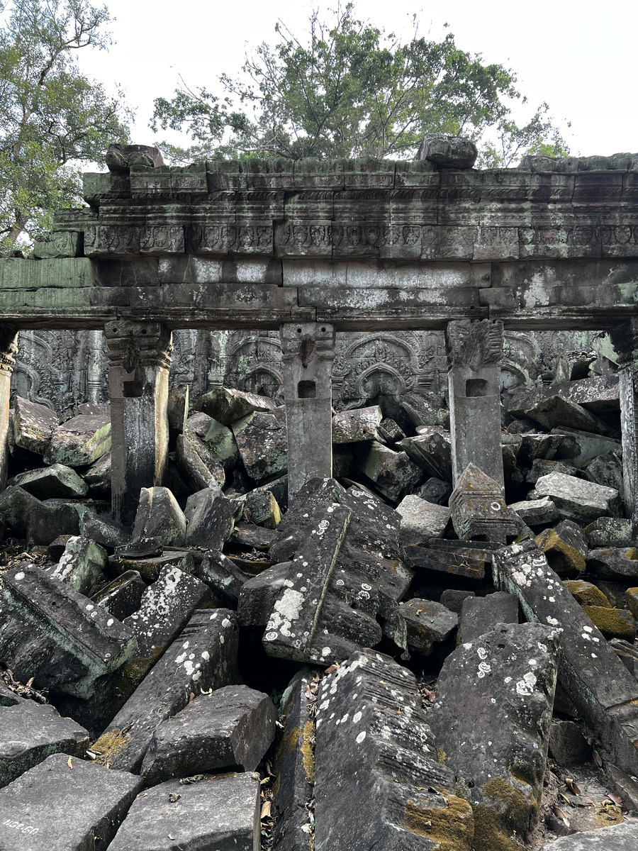 Picture Cambodia Siem Reap Ta Prohm 2023-01 26 - Waterfall Ta Prohm