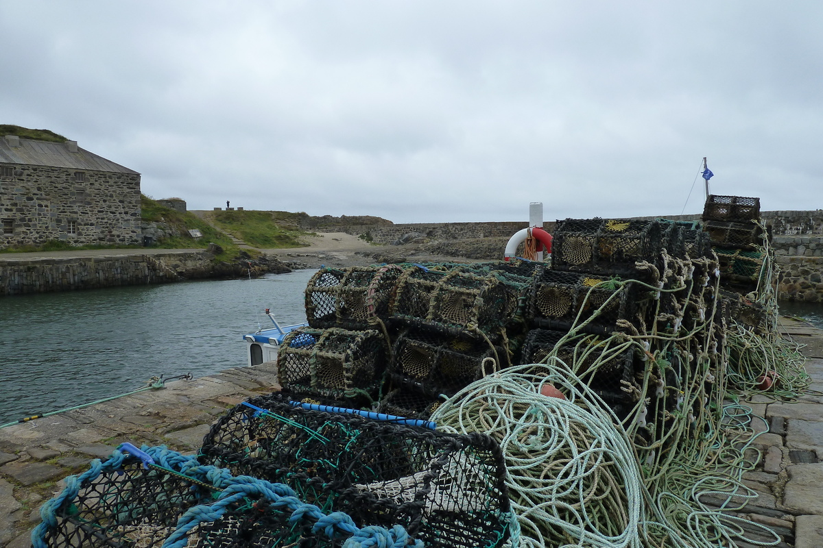 Picture United Kingdom Scotland Portsoy 2011-07 6 - Rentals Portsoy