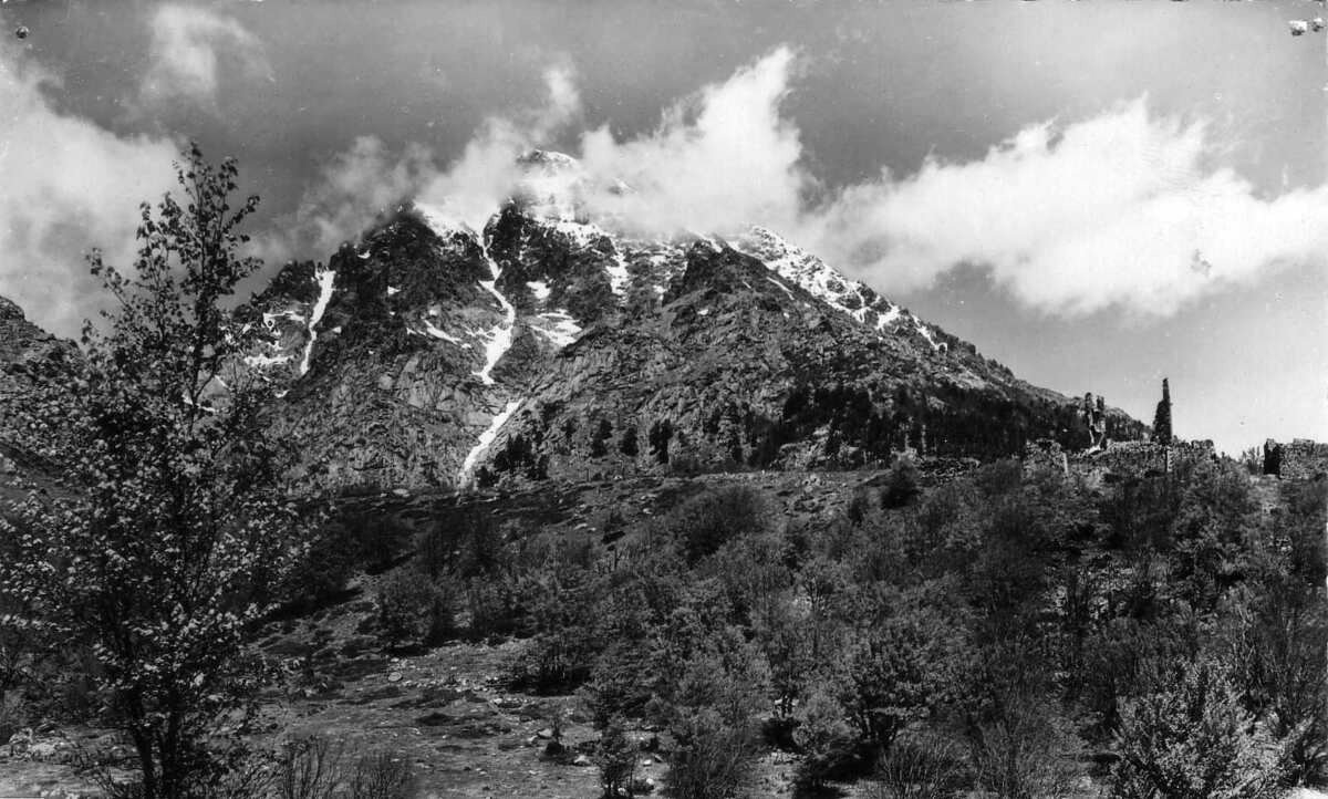 Picture France Corsica Old Postcards 1900-01 263 - Spring Old Postcards