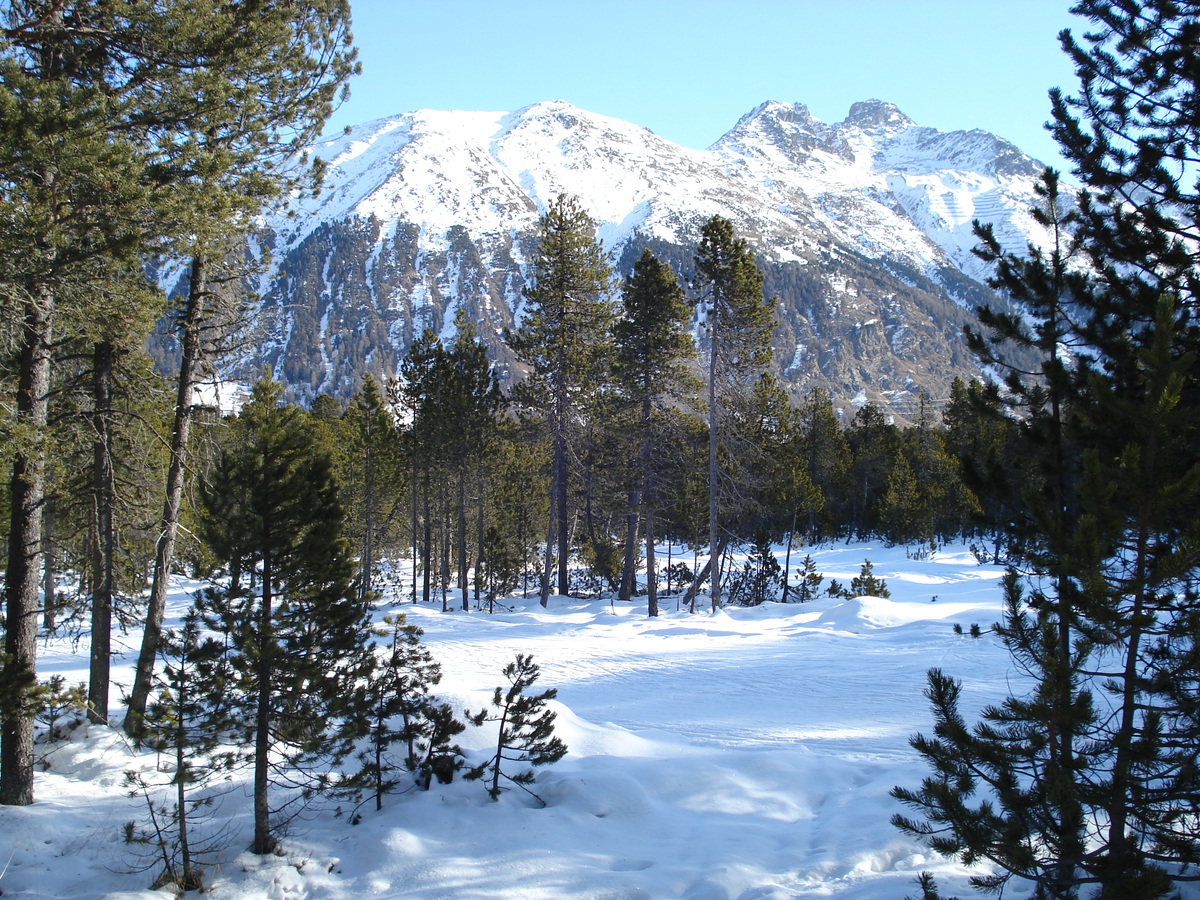 Picture Swiss St Moritz Schlarigna 2007-01 12 - Monument St Moritz Schlarigna