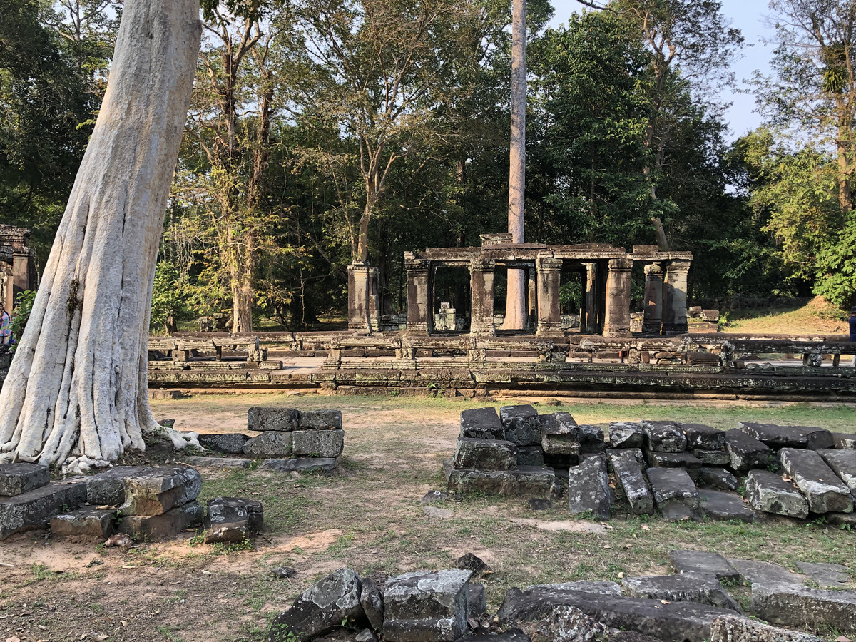 Picture Cambodia Siem Reap Banteay Kdei 2023-01 8 - Saving Banteay Kdei