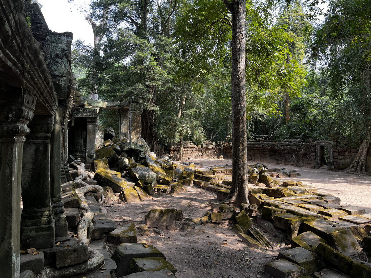 Picture Cambodia Siem Reap Ta Prohm 2023-01 149 - Rain Season Ta Prohm