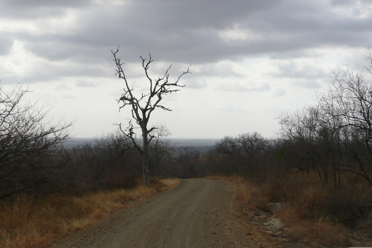 Picture South Africa Kruger National Park 2008-09 161 - Waterfalls Kruger National Park