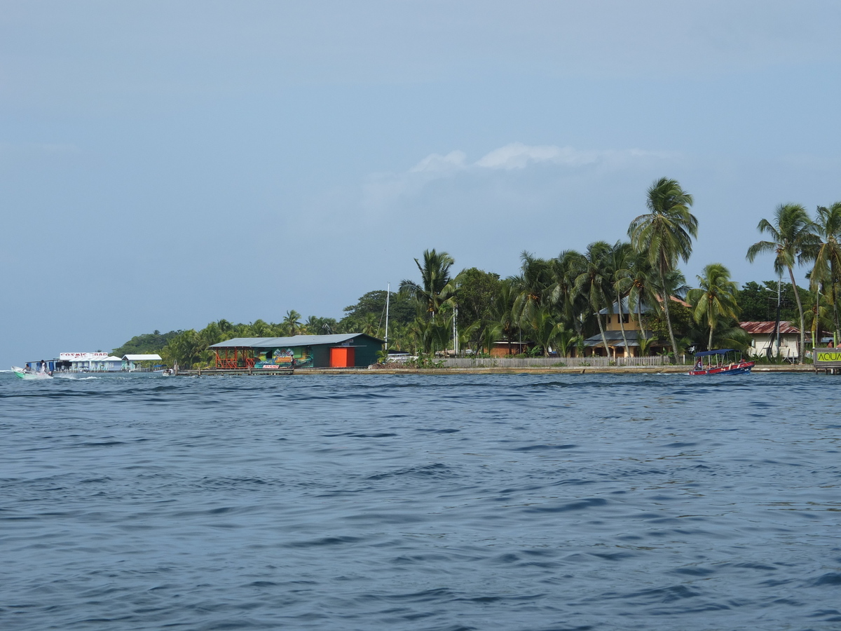 Picture Panama Bocas del toro 2015-03 75 - Rental Bocas del toro