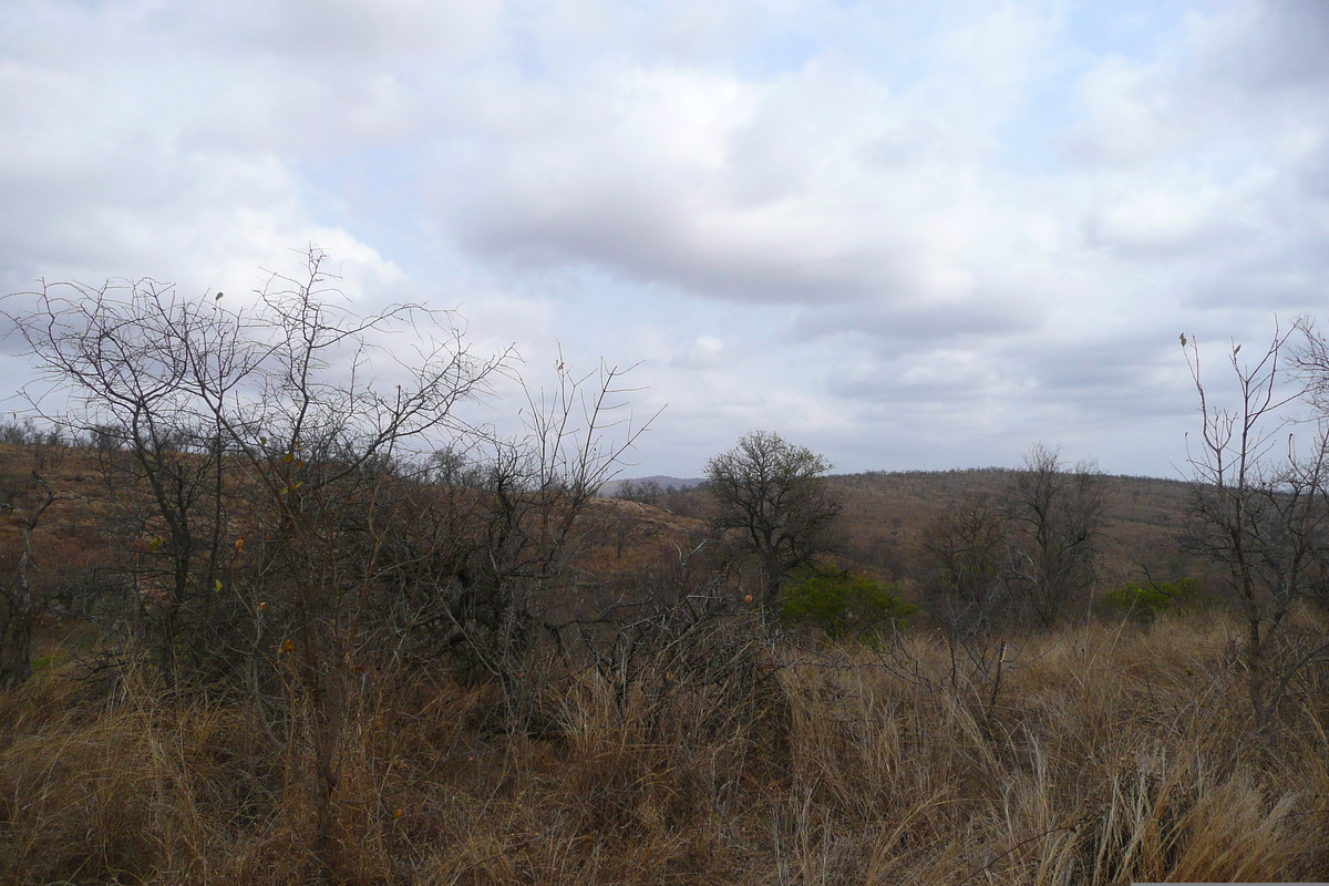 Picture South Africa Kruger National Park 2008-09 153 - City View Kruger National Park