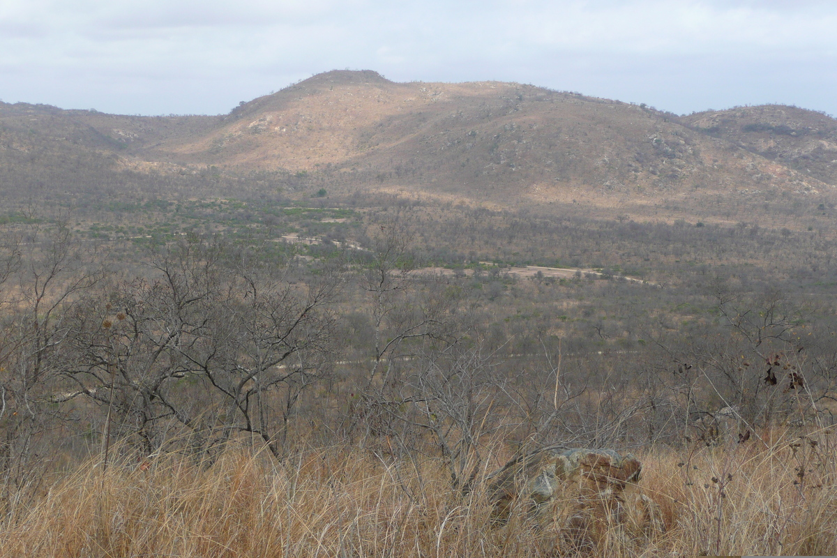 Picture South Africa Kruger National Park 2008-09 145 - Walking Street Kruger National Park