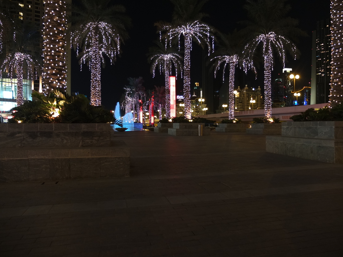 Picture United Arab Emirates Dubai The Dubai Mall 2011-12 40 - Lakes The Dubai Mall