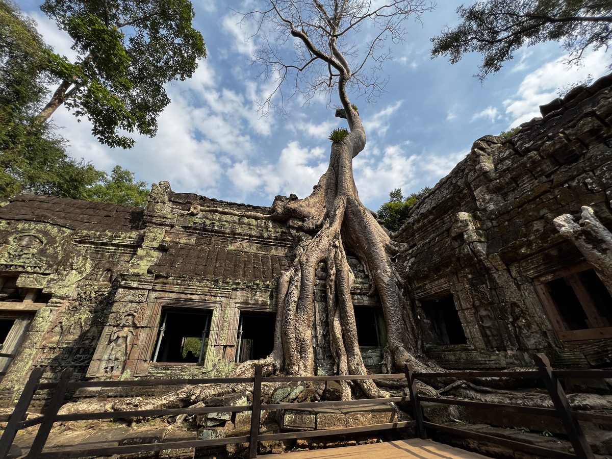 Picture Cambodia Siem Reap Ta Prohm 2023-01 104 - Cost Ta Prohm