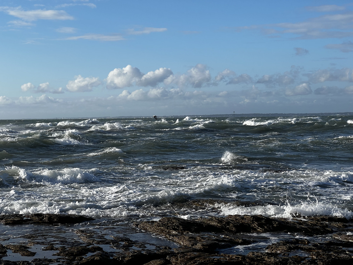 Picture France La Plaine sur mer 2022-09 49 - Summer La Plaine sur mer