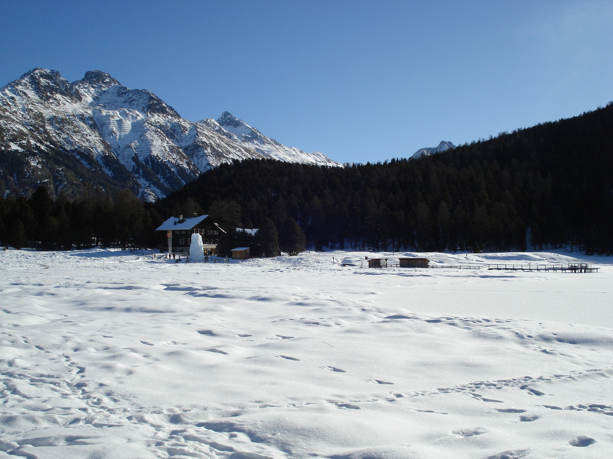 Picture Swiss St Moritz Schlarigna 2007-01 16 - Restaurant St Moritz Schlarigna