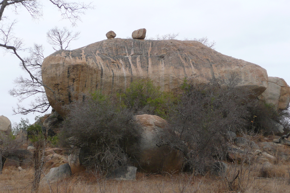 Picture South Africa Kruger National Park 2008-09 147 - Savings Kruger National Park