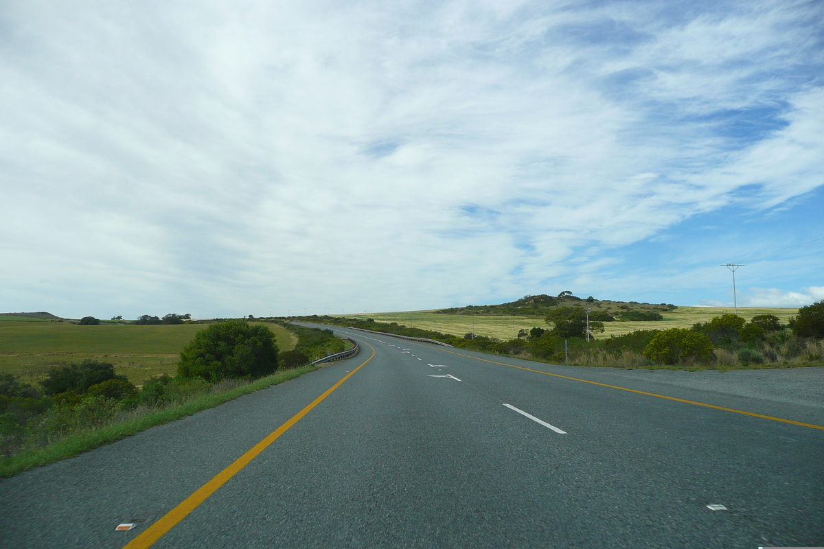 Picture South Africa Harmanus to Knysna road 2008-09 91 - Rain Season Harmanus to Knysna road