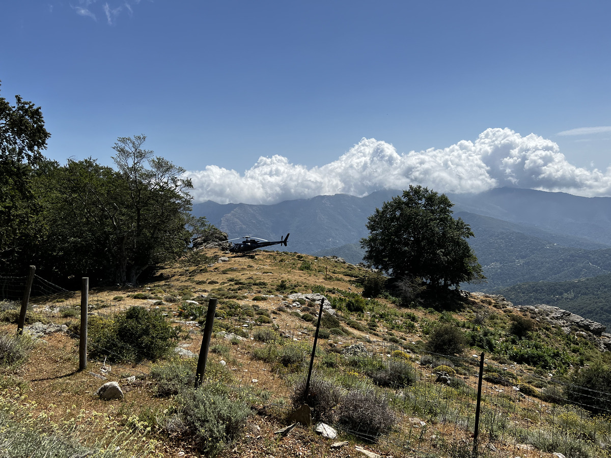 Picture France Corsica Refuge de Callerucciu 2022-06 43 - Rain Season Refuge de Callerucciu