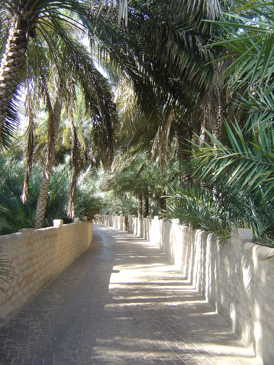 Picture United Arab Emirates Al Ain Al Ain Oasis 2005-03 20 - Hotel Pools Al Ain Oasis