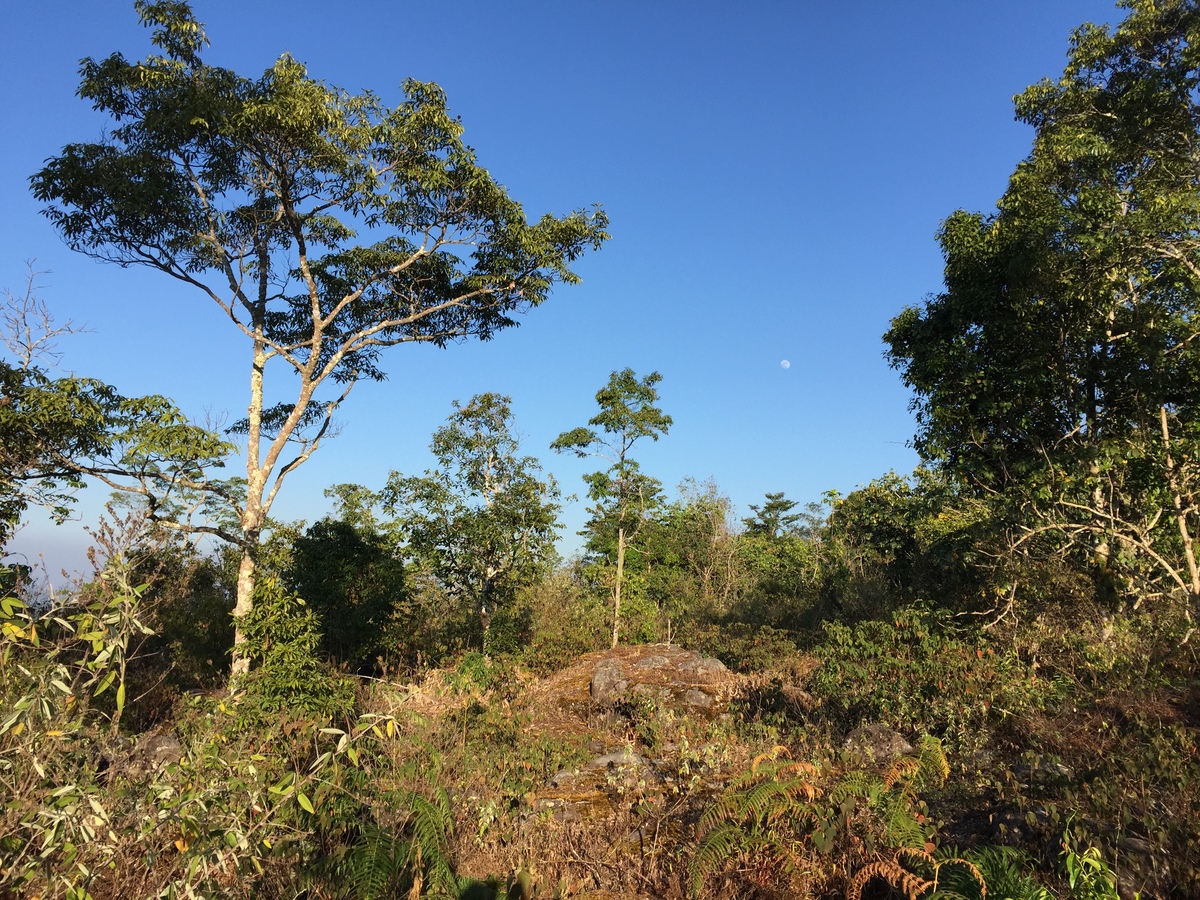 Picture Thailand Phu Hin Rong Kla National Park 2014-12 315 - Transport Phu Hin Rong Kla National Park